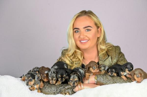 EMBARGOED UNTIL 14.00HRS BST / OCTOBER 10, 2023 Rayma Jo<em></em>nes from Leicestershire with Winnie, aged 3, her dachshund, who gave birth to 11 puppies. Here they are at 4 weeks old. October 4, 2023. See SWNS story SWSYpuppies. A dachshund has given birth to what could be a world record litter - of 11 puppies. Three-year-old Winnie bore the huge brood at home near Leicester last mo<em></em>nth (6/9). The average number of puppies in a dachshund litter is between one and six, due to their small size. Sausage dog Cheesecake gave birth to 10 in September 2021 - which made headline news. But Winnie has now beaten that number - and owner Rayma Jones, 23, thinks it may be a world record.