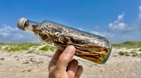 The bottles are filled with foliage, wine, urine, and other odd things (Picture: Facebook)